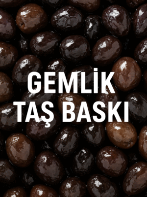Gemlik Tipi Zeytin (iri) 1 kg