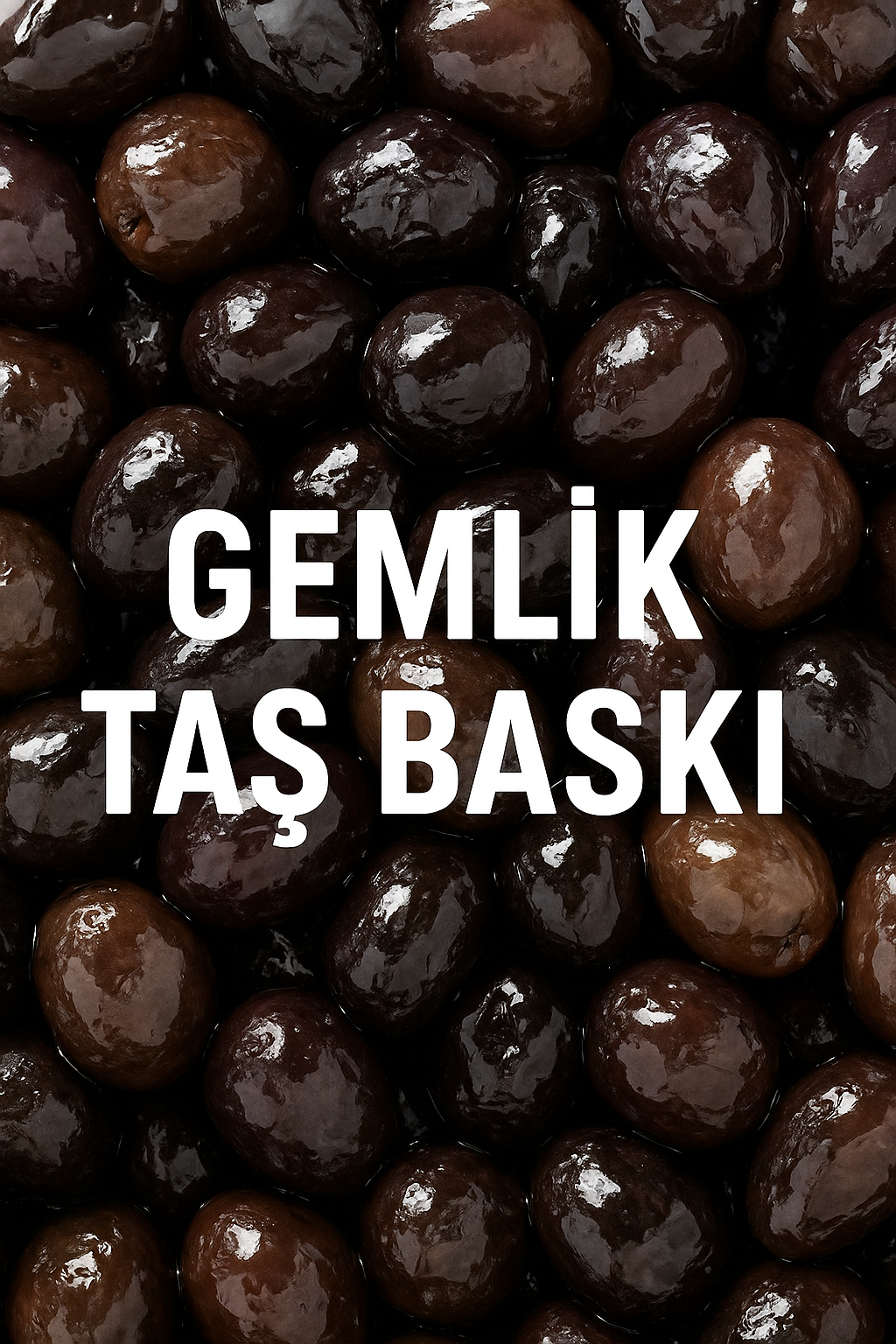 Gemlik Tipi Zeytin 1 kg